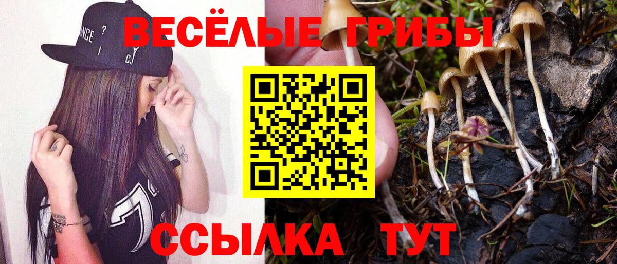 Галлюциногенные грибы мицелий Анапа