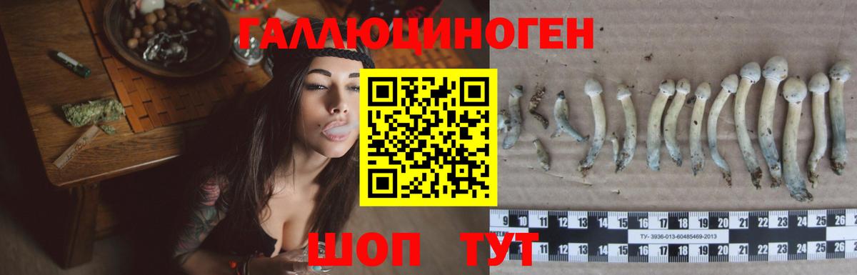 дарнет шоп  Вход с VPN  Анапа  Галлюциногенные грибы ЛСД 